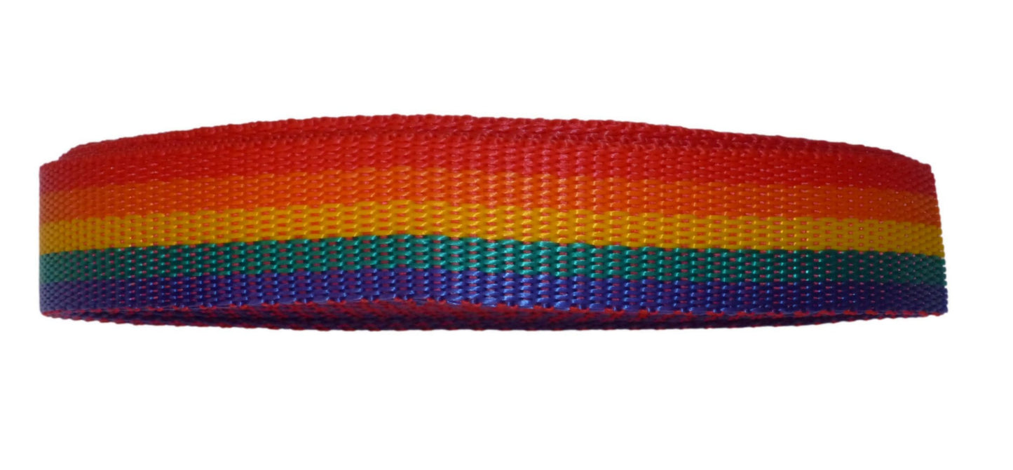 Benristraps 25mm Polypropylene Webbing, 10 metres (32') in rainbow colours