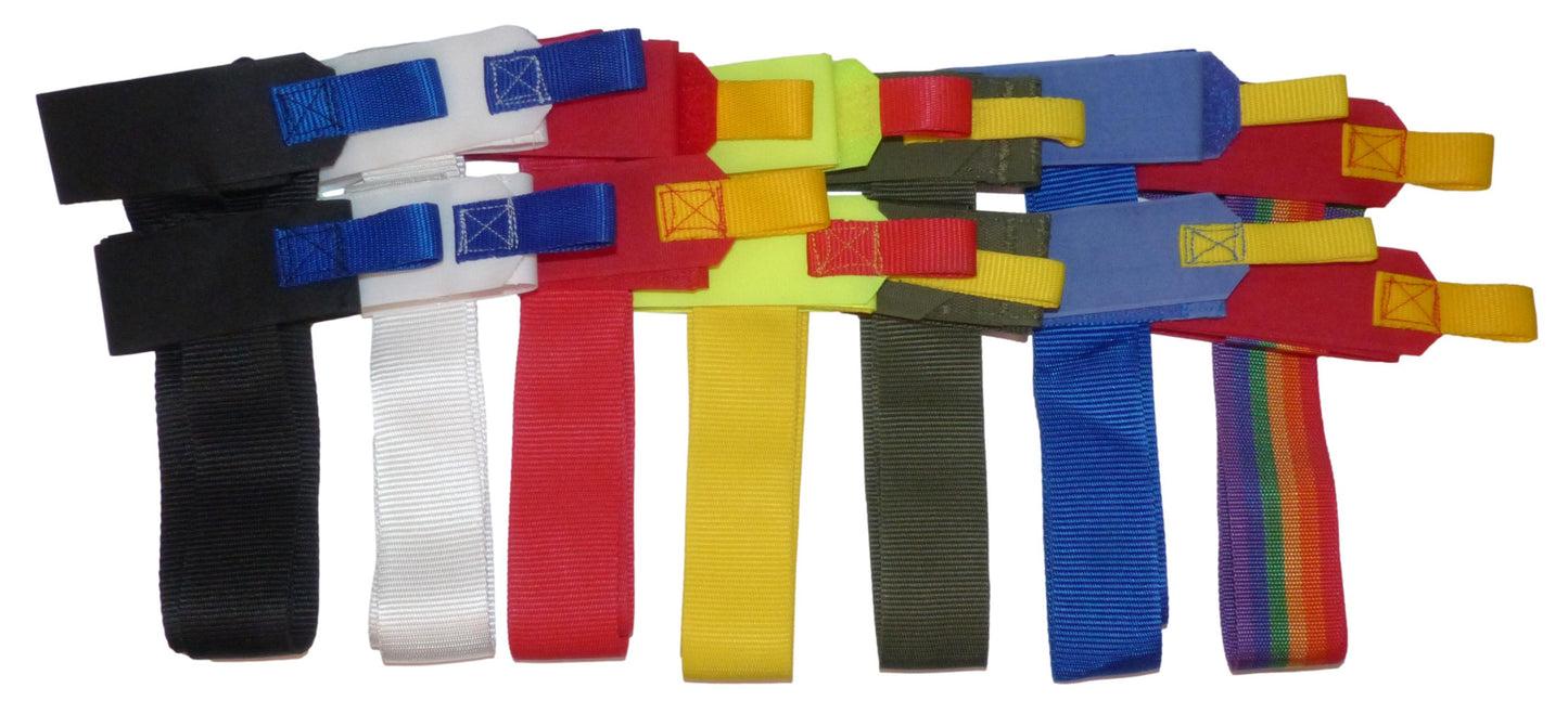 Benristraps Ski and Pole Carry Strap