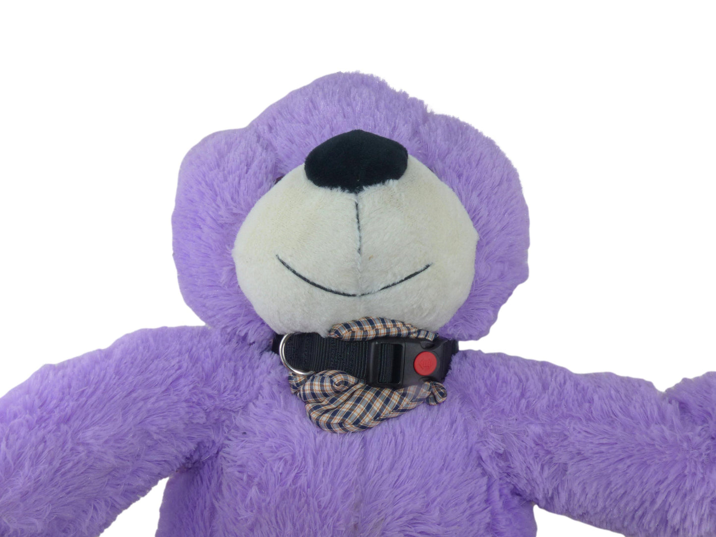 25mm Adjustable Dog and Pet Collar in Polyester Webbing, Choice of Sizes and Colours