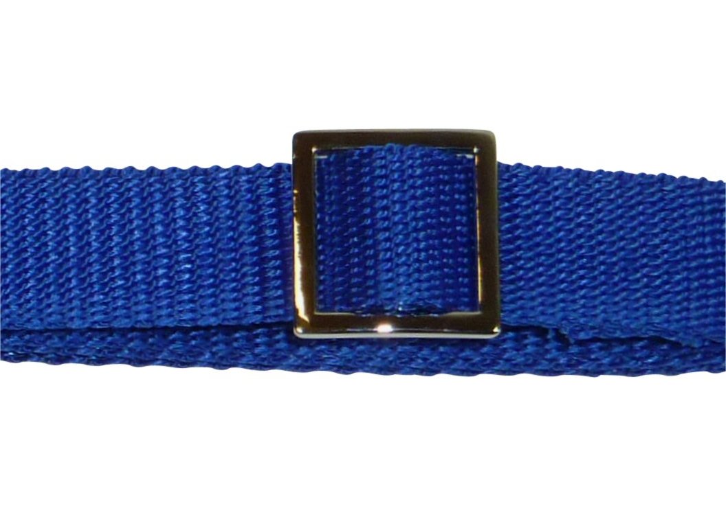 Benristraps 20mm alloy metal triglide on blue webbing