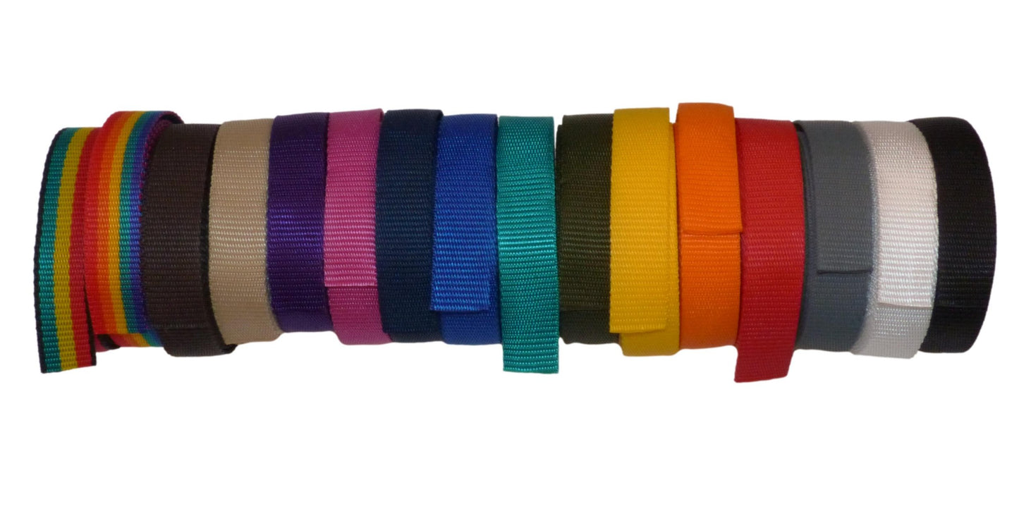 25mm Polypropylene Webbing (five metres) in many colours