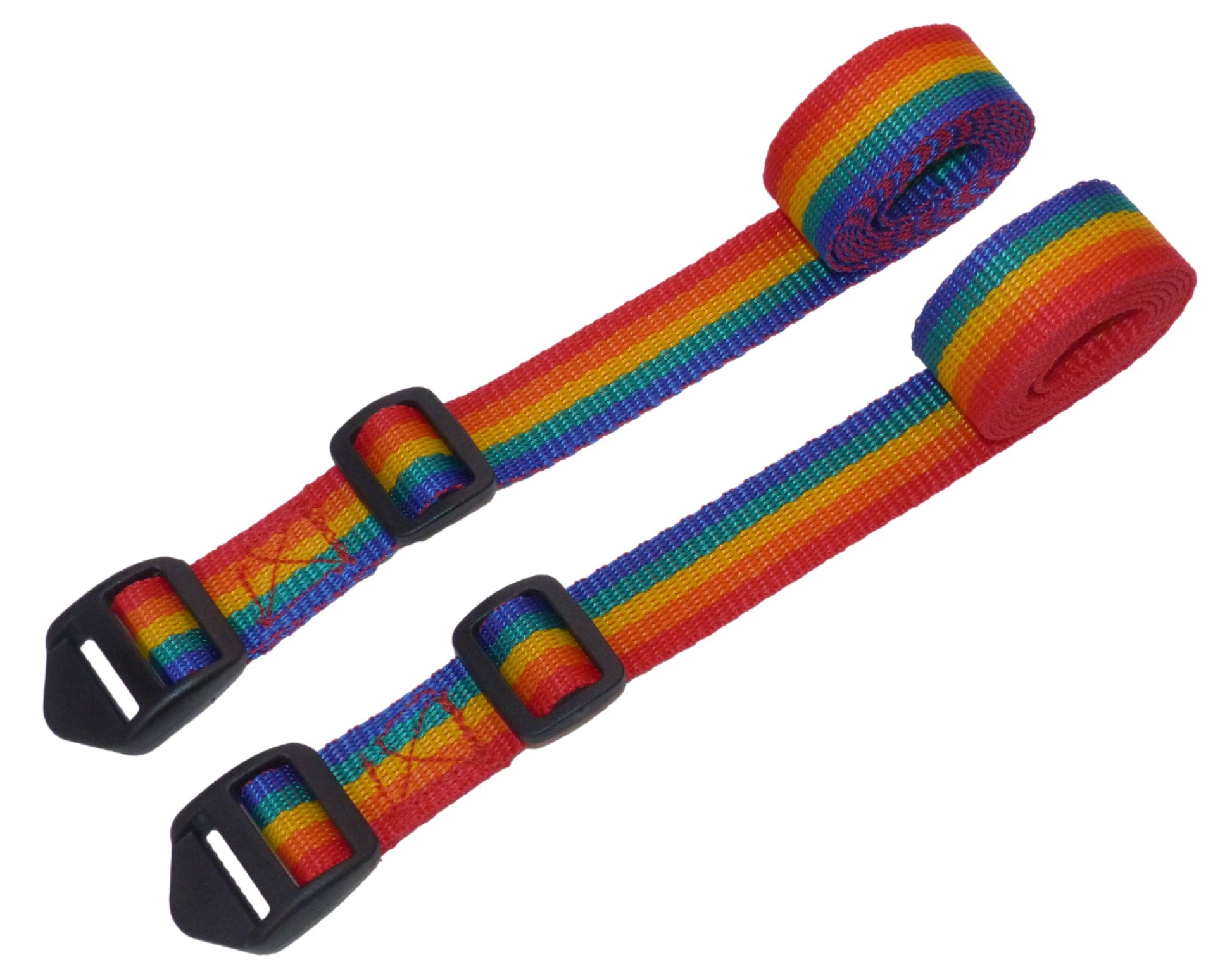 Benristraps 25mm Webbing Strap with Ladderloc Buckle (Pair) in rainbow