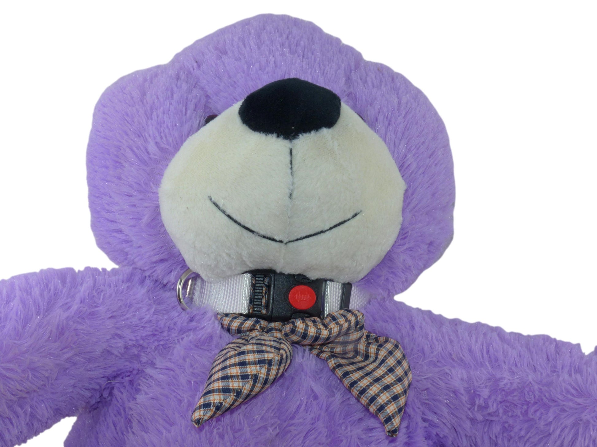 Benristraps dog collar in white on purple teddy bear with a black nose, plaid bow tie on a white background